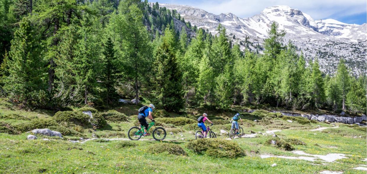 14-olaga-sommer-mountainbike-c-tvb-kronplatz-kirsten-j-sorries