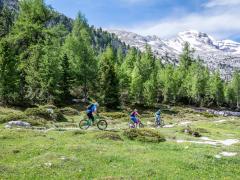 Mountainbike tour