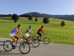 sommer3-homepage