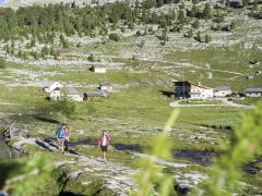 05-olaga-sommer-hiking-c-tvb-kronplatz-photo-alex-filz