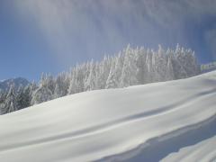 winterbild8