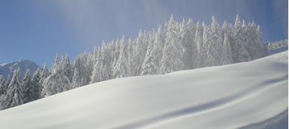 winterbild8
