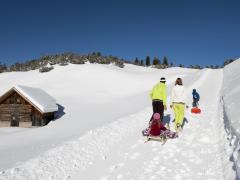 Tobogganing