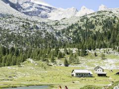 09-olaga-sommer-hiking-c-tvb-kronplatz-photo-alex-filz