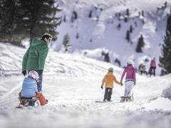 Tobogganing