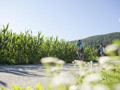 footer-olaga-sommer-bike-c-tvb-kronplatz-photo-alex-filz