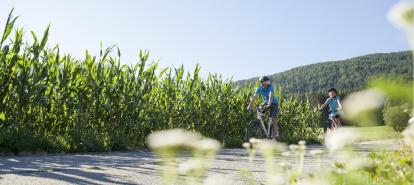 footer-olaga-sommer-bike-c-tvb-kronplatz-photo-alex-filz