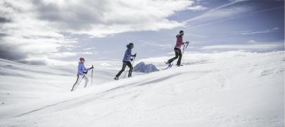 09-olaga-winter-snowshoeing-c-tvb-kronplatz-photo-manuel-kottersteger
