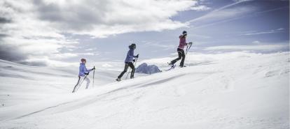 Snowshoe hike