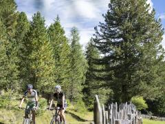 Tour di mountainbike in estate